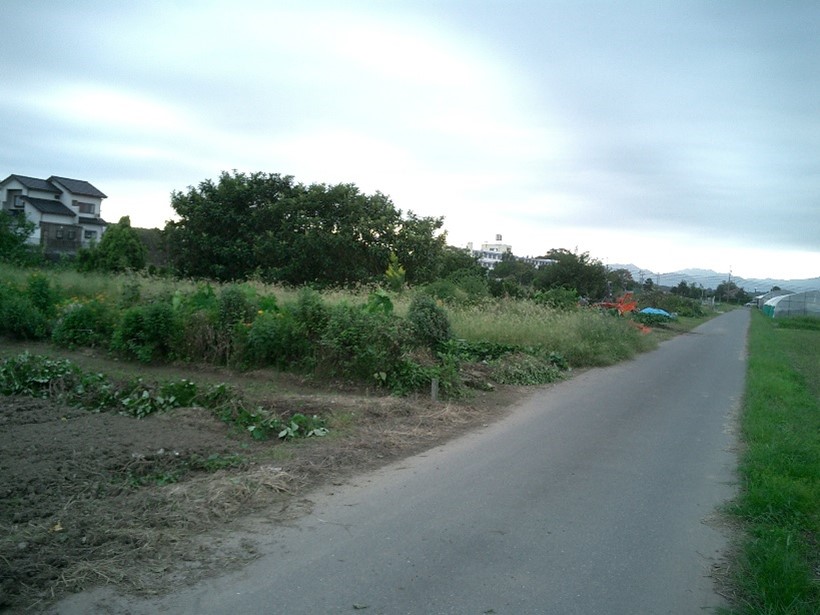 三重県鈴鹿市竹野町：畑