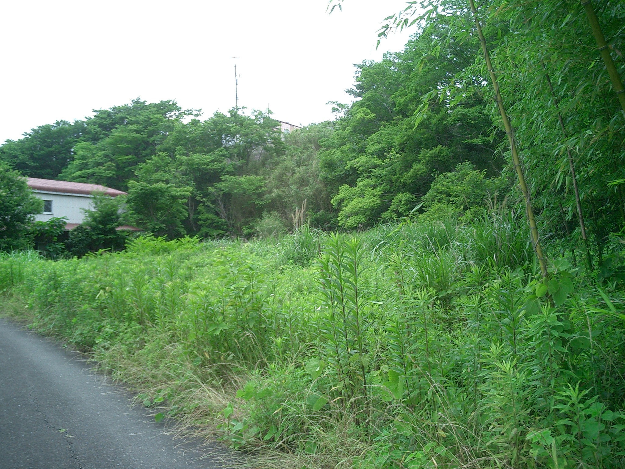 亀山市西町字西町